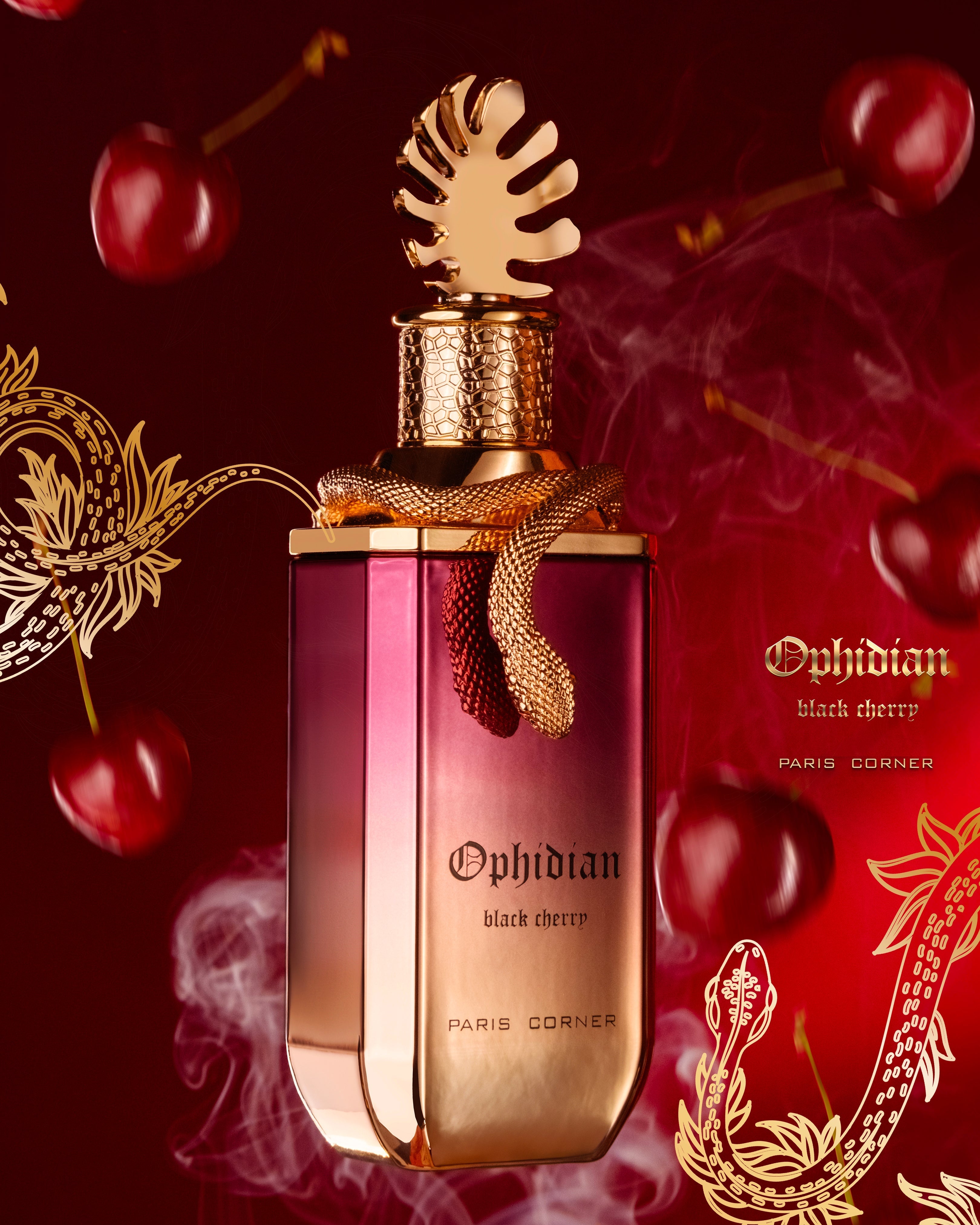 PARIS CORNER - Ophidian Black Cherry 100ml Unisexe Parfum