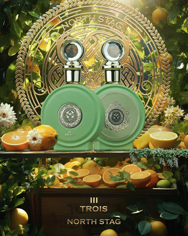 PARIS CORNER Expressions Trois III Eau de Parfum 100ML