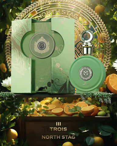 PARIS CORNER Expressions Trois III Eau de Parfum 100ML