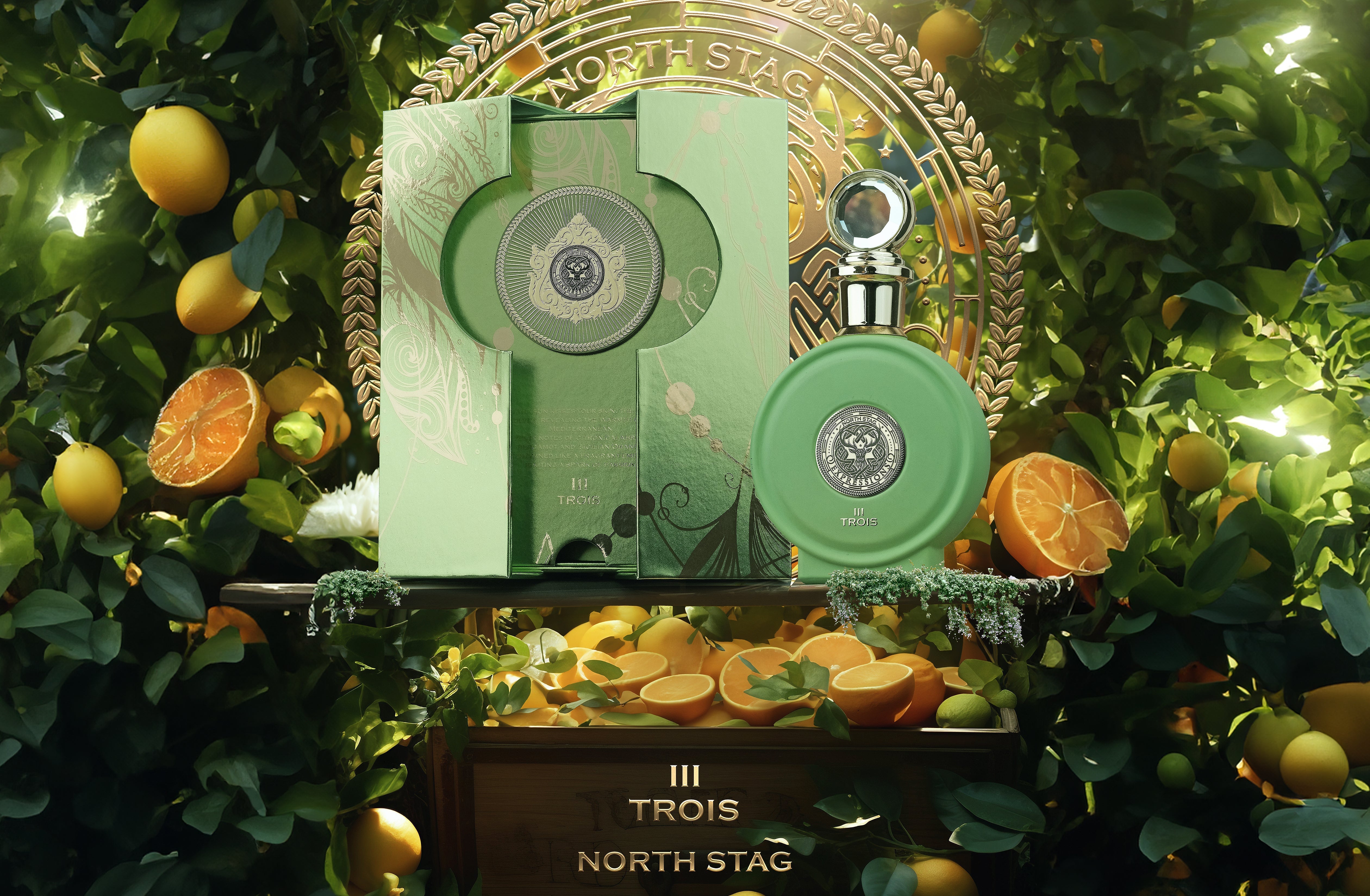 PARIS CORNER Expressions Trois III Eau de Parfum 100ML